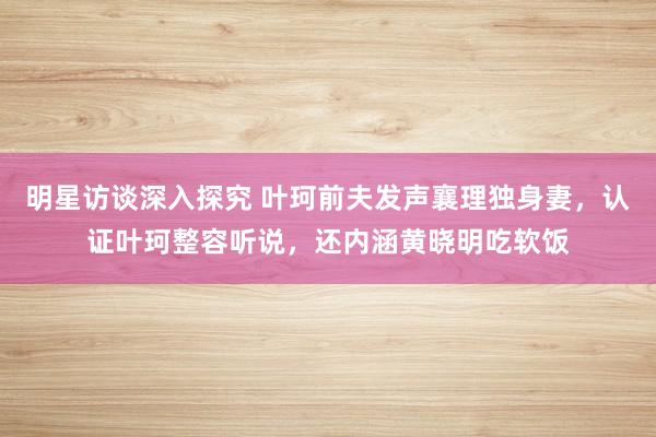 明星访谈深入探究 叶珂前夫发声襄理独身妻，认证叶珂整容听说，还内涵黄晓明吃软饭