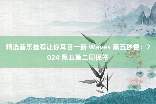 精选音乐推荐让你耳目一新 Waves 黑五秒懂：2024 黑五第二周保举