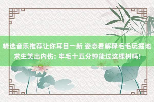 精选音乐推荐让你耳目一新 姿态看解释毛毛玩掘地求生笑出内伤: 牢毛十五分钟能过这棵树吗!