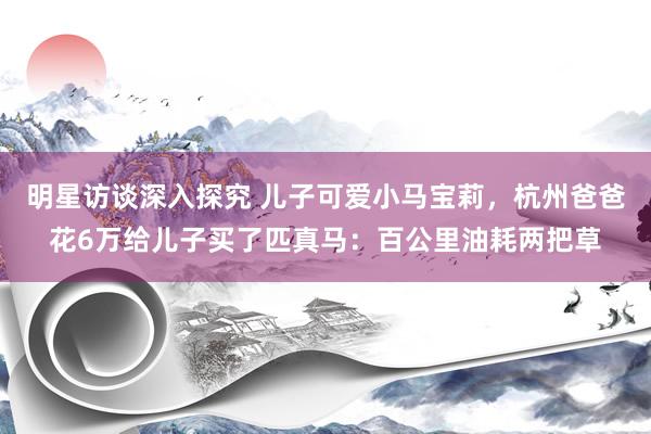 明星访谈深入探究 儿子可爱小马宝莉，杭州爸爸花6万给儿子买了匹真马：百公里油耗两把草